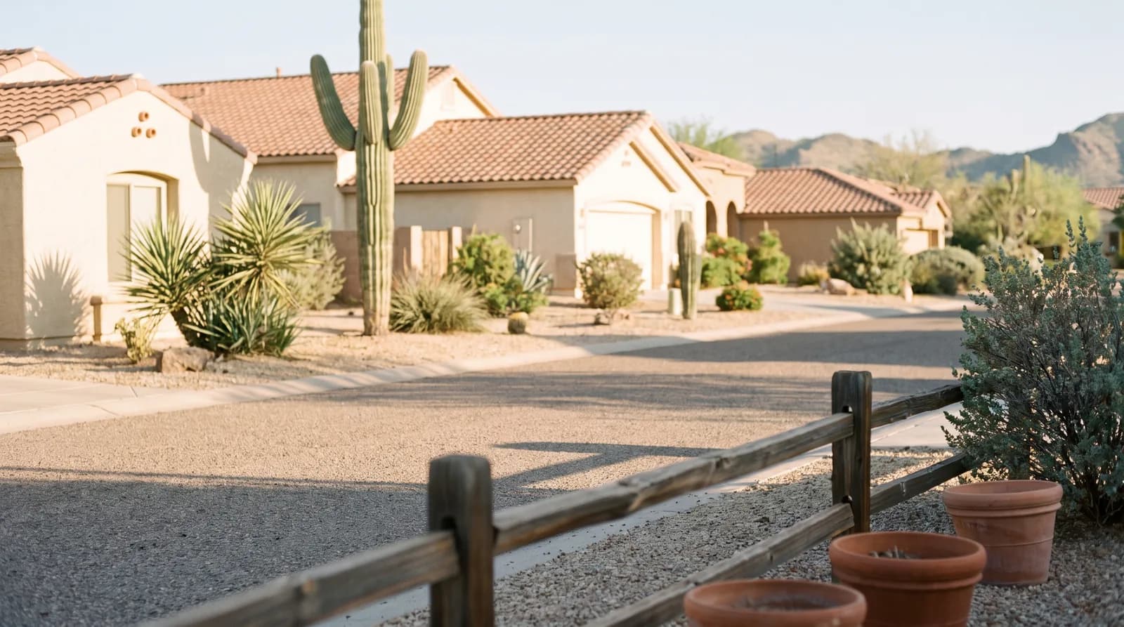A quiet Phoenix residential street at golden hour, with desert landscaping along the sidewalk